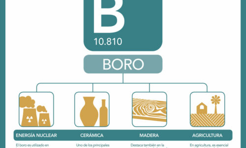 barcelonesa-boro-b