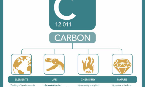 carbon-barcelonesa-iypt