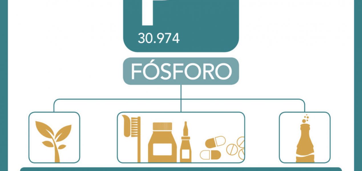 barcelonesa-fosforo